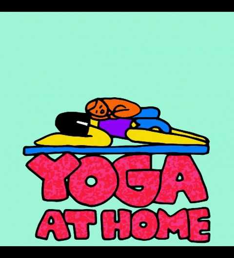 Yoga at home with a cat