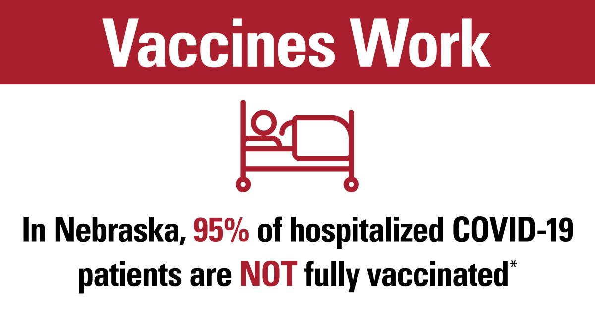 Vaccines work infographic