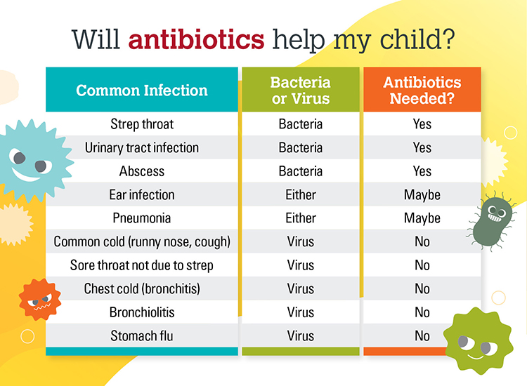 Antibiotic Half Life Chart