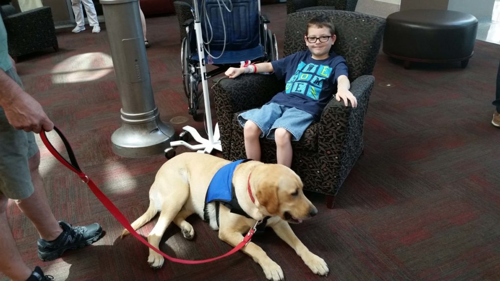 Connor-pet-therapy-at-hospital-1024x576.jpg