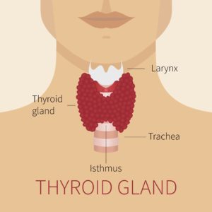 thryoid-2-300x300.jpg