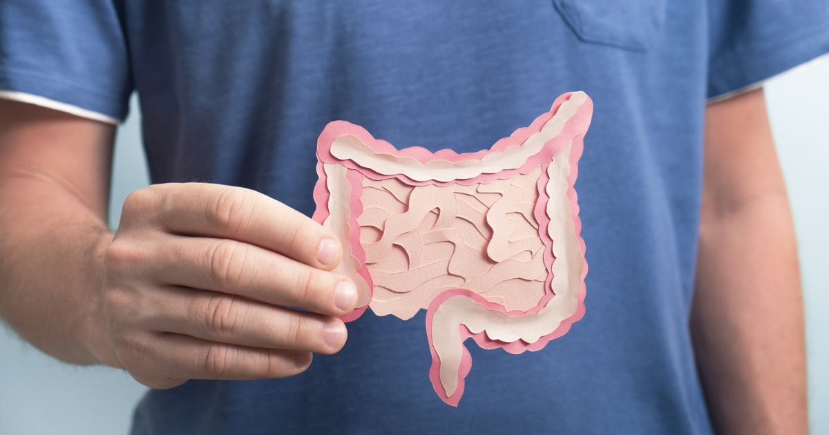 Man holding paper cutout of digestive system