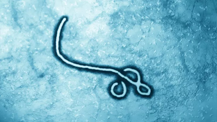 Ebola