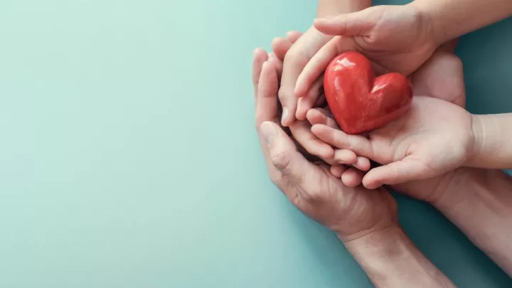 Multiple hands holding plastic heart