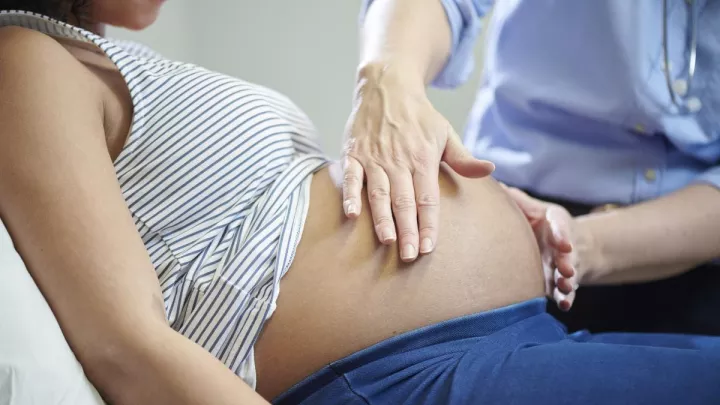 Midwife examining pregnant woman's stomach